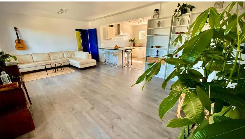 מלון Bénesse-Maremne Sewa Surf House 10Min De Capbreton Hossegor מראה חיצוני תמונה